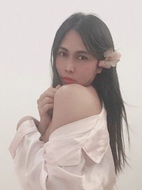 Thai ladyboys for dating / Ladyboys from Philippines for dating