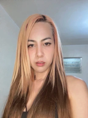 Thai ladyboys for dating / Ladyboys from Philippines for dating