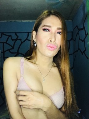 Thai ladyboys for dating / Ladyboys from Philippines for dating