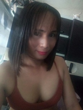 Thai ladyboys for dating / Ladyboys from Philippines for dating