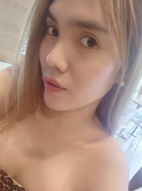 Thai ladyboys for dating / Ladyboys from Philippines for dating