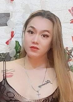 Thai ladyboys for dating / Ladyboys from Philippines for dating