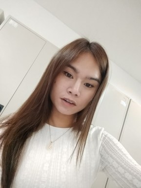 Thai ladyboys for dating / Ladyboys from Philippines for dating