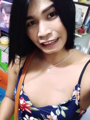 Thai ladyboys for dating / Ladyboys from Philippines for dating